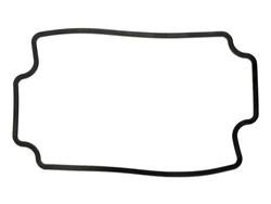 Gasket; G111SEAL; EPDM; Gainta; RoHS
