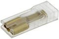 Connector cover; 6,3x0,8mm; flat female; uninsulated; OKW6,3; clear; straight; 1 way; TE Connectivity